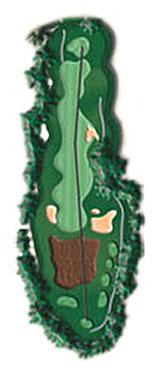 hole 11 overhead view