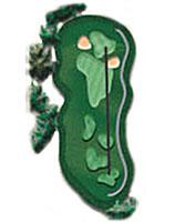 hole 16 overhead view