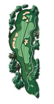 hole 8 overhead view