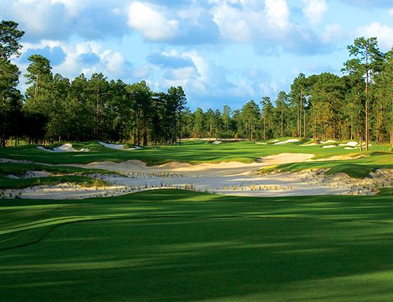 view of golf course green